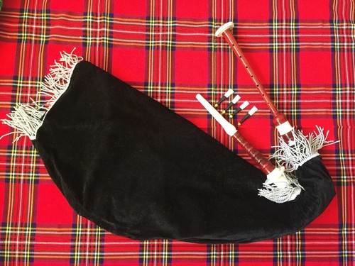 Goose bagpipe practice - bagpipe,